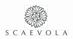 HBJB Scaevola2